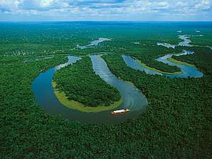 Bresil - Amazonie pres de Manaus